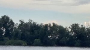 Прогулка на теплоходе с кошкой Кариной😎