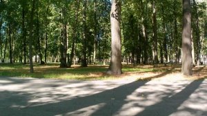 Пусть ветер