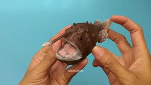 Рыба удильщик акулы детям
