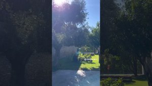 Отель Maxx Royal Kemer Resort