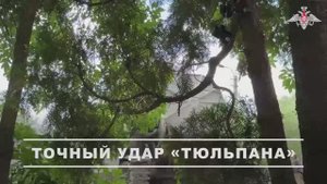 Боевая работа расчёта самоходного миномёта «Тюльпан»