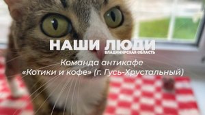 Наши Люди Владимирская область. Команда антикафе «Котики и кофе» (г. Гусь-Хрустальный)