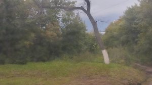 Дорога на работу из окна автобуса