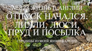 Отпуск начался. Про еду, про наших чихуахуа, про пруд и сад. Распаковка. № 823 Жизнь в Англии