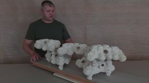 ПЛНФ-9 Декорация из биокерамики для морского аквариума