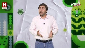 Пекинская капуста растёт в России