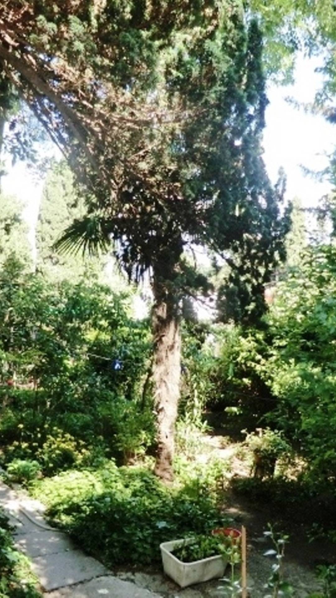 Сдам свою 2ккв в центре Ялты смотреть онлайн