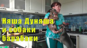 НЯША ДУНЯША И СОБАКИ БАРАБАКИ /09 августа 2025