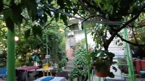 Абхазия Пицунда Лдзаа кидаем монетки обзор жилья