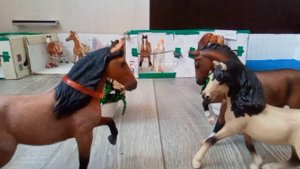 интервью у Гранда и Энигмы (в описание)