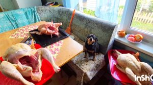 моя ДЕРЕВНЯ на Алтае,Забыла предупредить маму что это не кровь😜