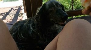 СОЧИ ГОРНОЕ ЛОО ДЕНЬ 13.08.2025