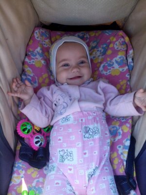 задавайте вопросы и задания