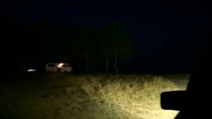 Панская Слобода  Липки 02.08.25