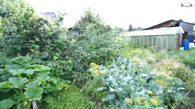 Продается просторный дом в городе Кыштым Челябинской области смотреть онлайн