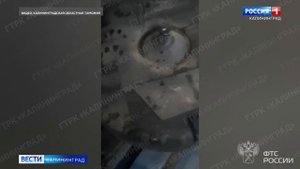 Таможенники предотвратили попытку контрабанды крупной партии янтаря