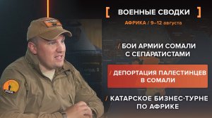 Бои армии Сомали с сепаратистами. Депортация палестинцев в Сомали. Катарское бизнес-турне по Африке