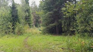 2. Гора Ялангас (1297,8 метра). Хребет Ялангас (1297,8 метра). 9 августа 2025 года.