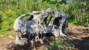 Таинственный лес (летний)