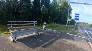 Остановка без крыши, но со скамейкой