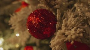 Встреча Нового, 2025 года в "Сибирь"