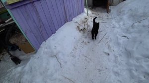 Влог от 15.03.2021