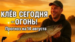 Прогноз клева рыбы на 14 августа 2025 — Лучшее время и места для рыбалки сегодня