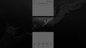 коты воители (1часть)