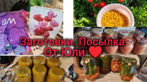 Заготовки на зиму. Икра кабачковая. Хренодер. Огурцы. Посылка от Юли