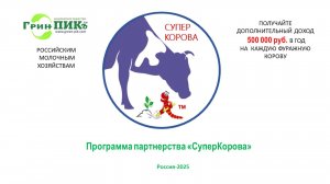 СуперКорова Вводный вебинар № 1 от 13.08.2025