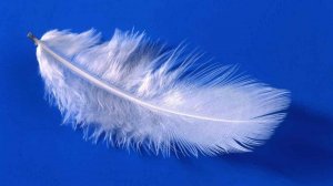 Валерия - Синица..автор ролика Светлый