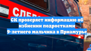 СК проверяет информацию об избиении подростками 9-летнего мальчика в Приамурье