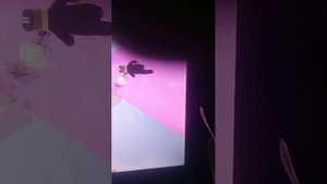 РОМИККОЛЕРР