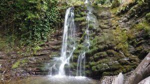 Путь в глубь Сочинского национального парка. Бурные воды реки Цусхвадж.