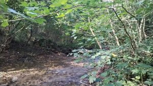 Поездка на квадроцикле вдоль реки