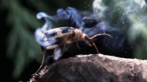 Самые противоречивые личности в области науки(1)