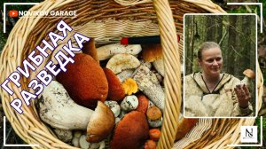 Грибная разведка 12 августа 2025. Всеволожский район.