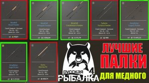 ЛУЧШИЕ ФИДЕРЫ И ПИКЕРЫ ДЛЯ МЕДНОГО ОЗЕРА В РУССКОЙ РЫБАЛКЕ 4 РР4