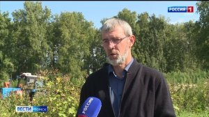 Россельхознадзор_Сюжет о распространении конопли_ Вести Томск_11.08.2025