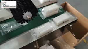 Горизонтальная упаковочная машина флоупак MHP-250DxA3