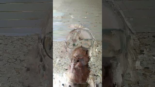 Шурка 😝 смотреть онлайн