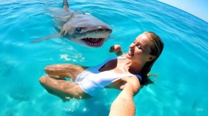 Очаровательная  девушка купается с акулой