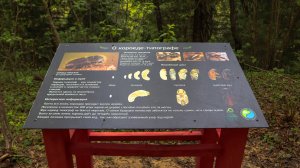 Экотропа на территории памятника природы «Городской бор в г. Боровске»