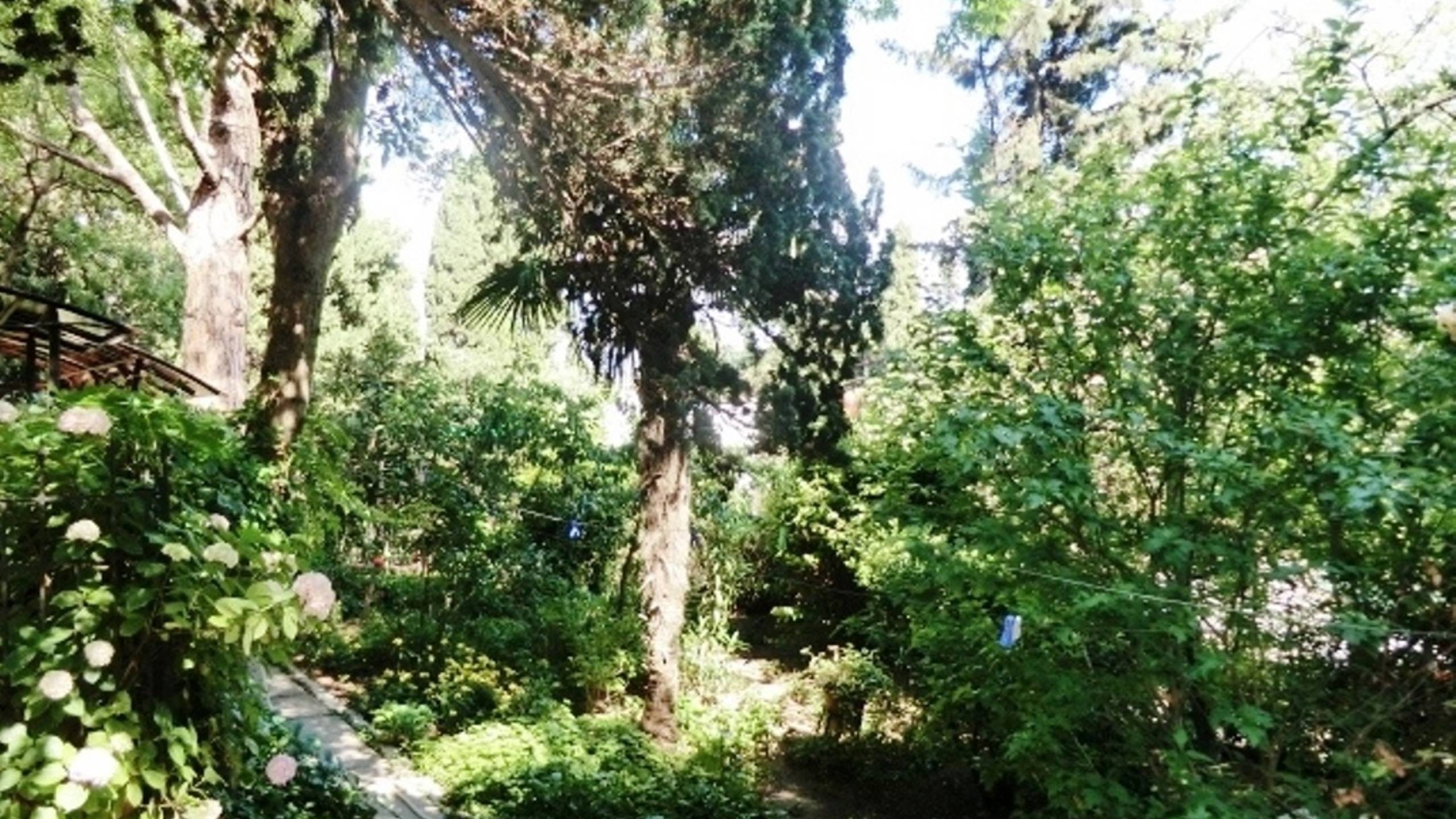 Сдам свою 2ккв в центре Ялты смотреть онлайн