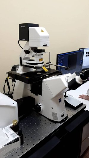 Краситель для клеток 20.09. 2021