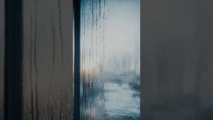 хрупкие надежды