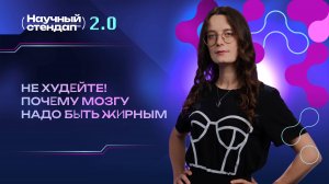 Не худейте! Почему мозгу важно быть жирным?