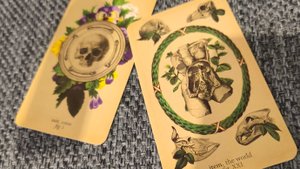 обзор на колоду "Таро Античной анатомии"