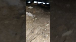 Обустройство скважины по летнему