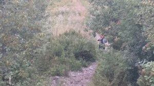 CAIDI 150 обычный день